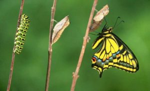 spiritual transformation