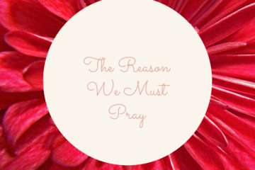 reason we must pray