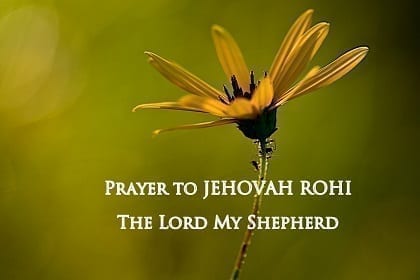 prayer to Jehovah Rohi