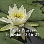 Paul's Prayers Ephesians 3 16-21