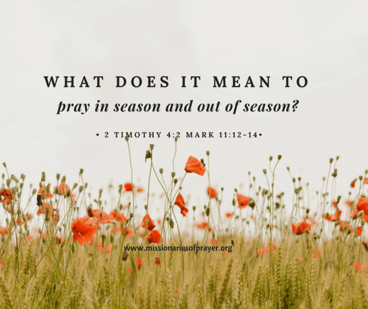 What does it mean to pray in season and out of season?