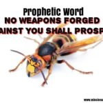 prophetic word no weapons forged against you shall prosper