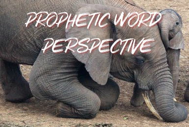 prophetic word - perspective