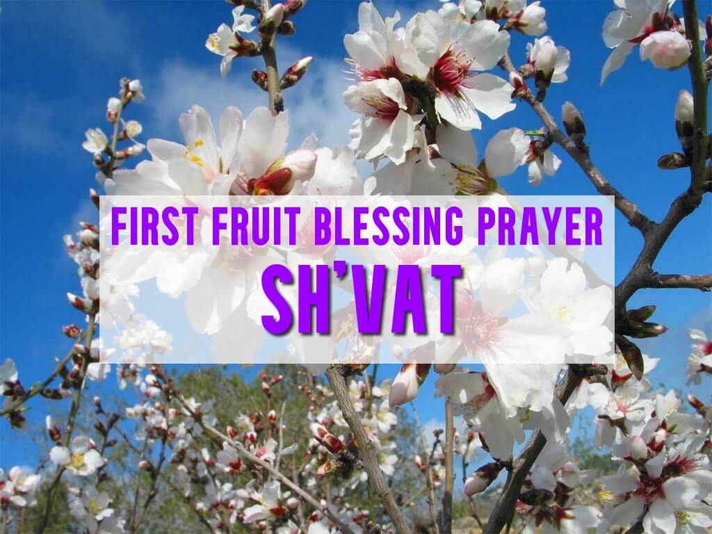 first fruit blessing prayer shvat