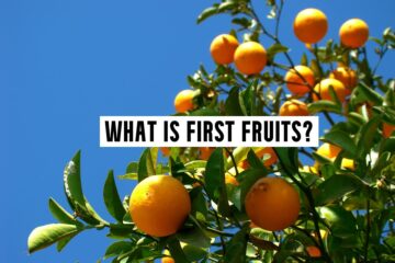 what is first fruits