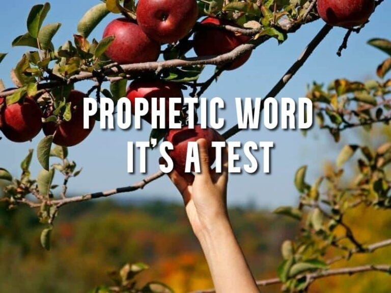 prophetic word it is a test