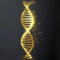 prayer to restore the dna